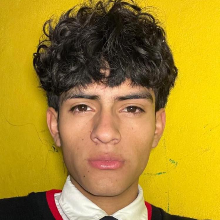 User Image
