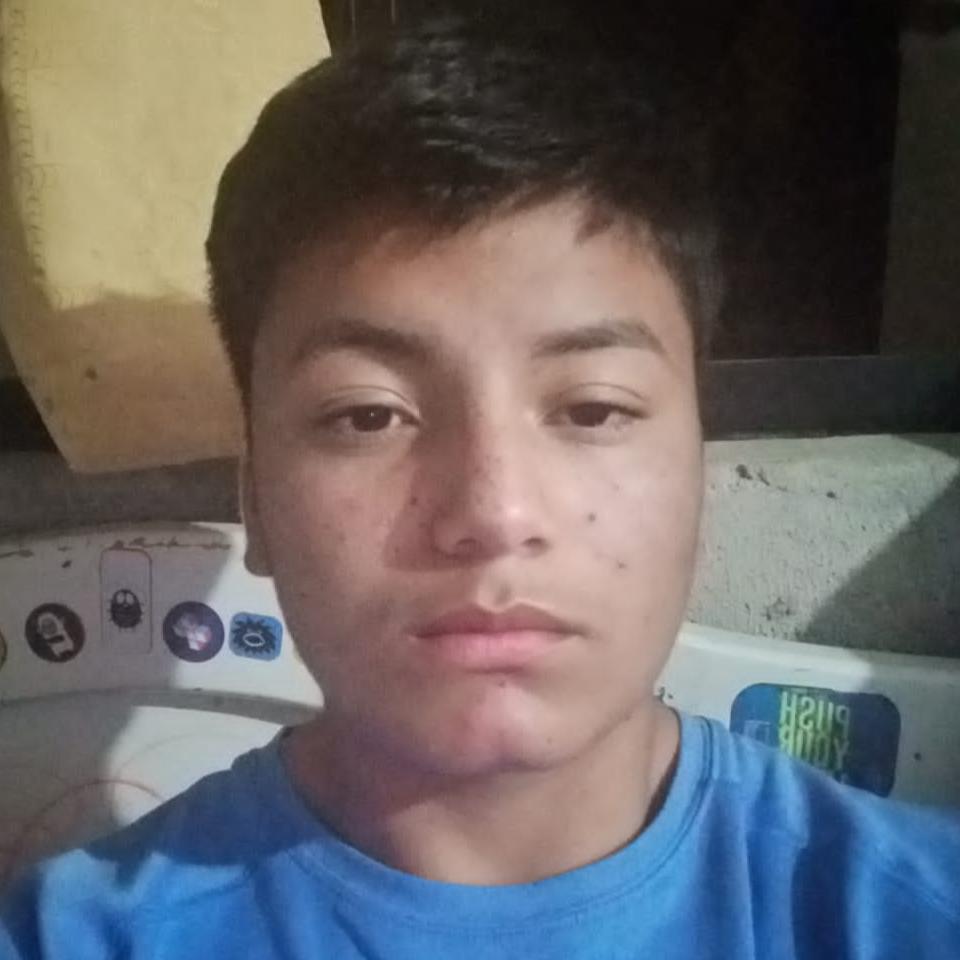 User Image