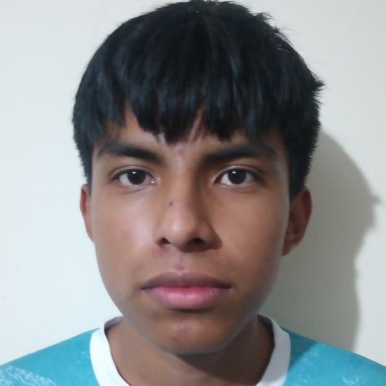 User Image