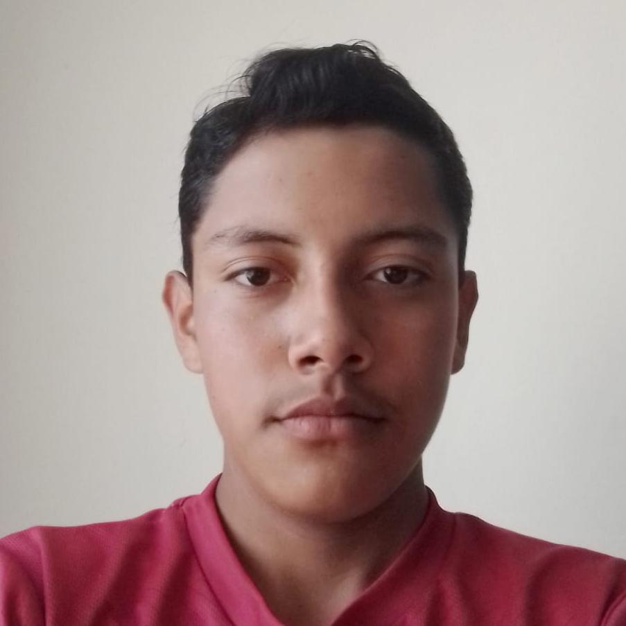 User Image