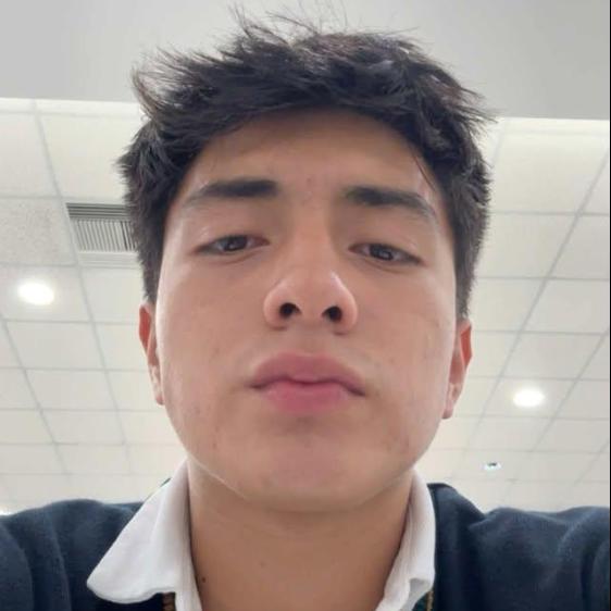 User Image